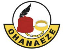 Ohanaeze Ndigbo UK invalidate recent election in London, inaugurate transition committee