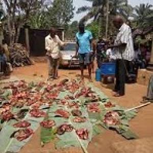 Native rights in Igbo land- Oke omunna