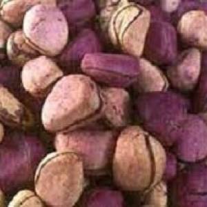 The symbol and importance of Oji Igbo (Kola nut) in Igbo culture and tradition