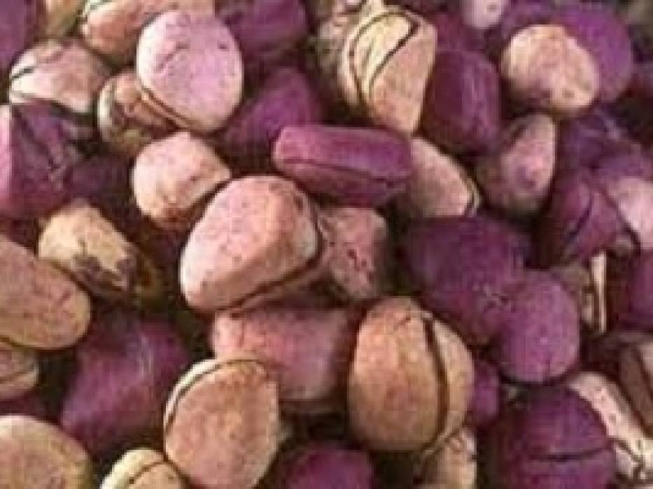The symbol and importance of Oji Igbo (Kola nut) in Igbo culture and tradition
