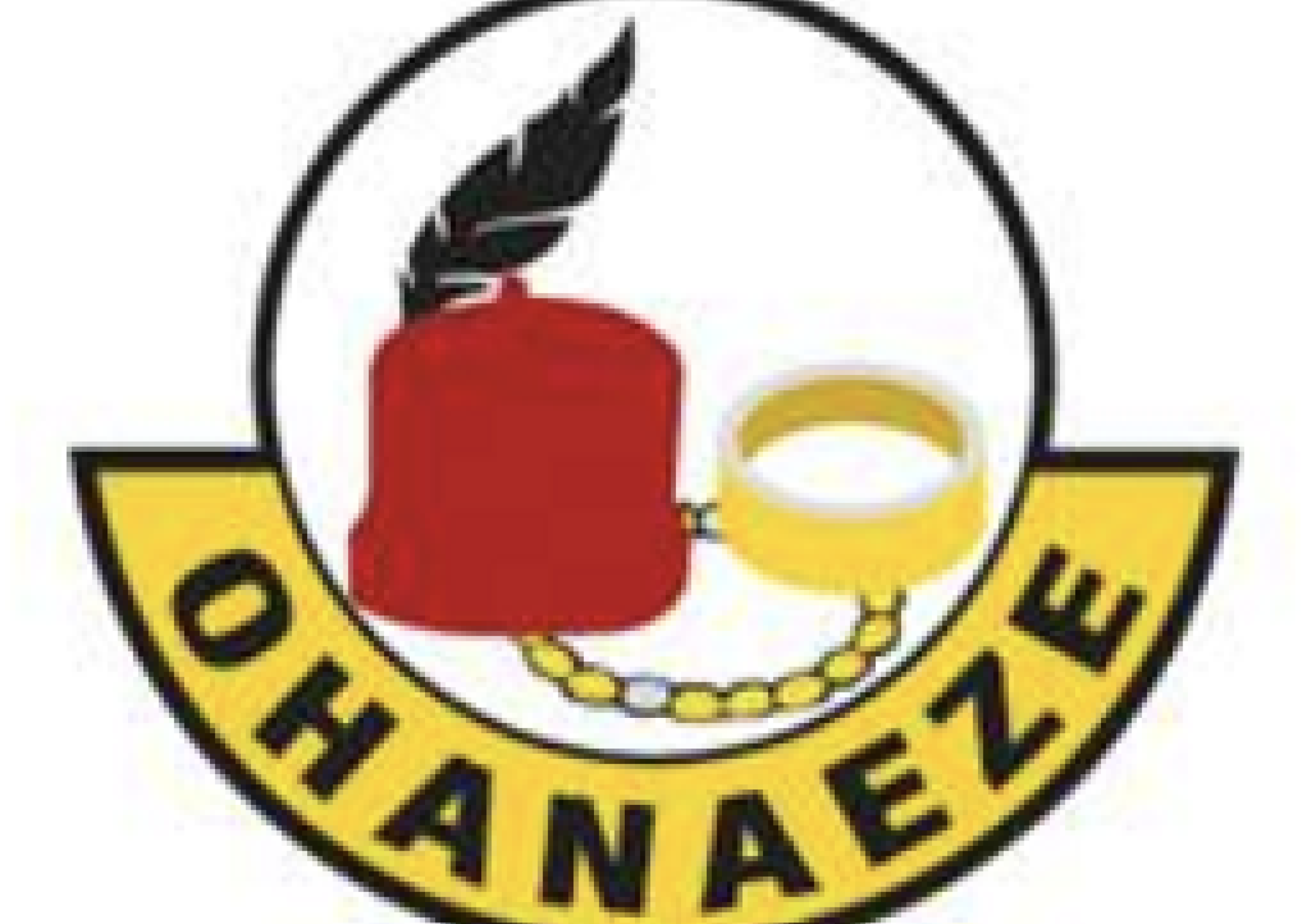 Ohanaeze Ndigbo UK invalidate recent election in London, inaugurate transition committee