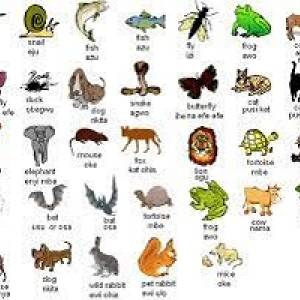 100 animal names in Igbo