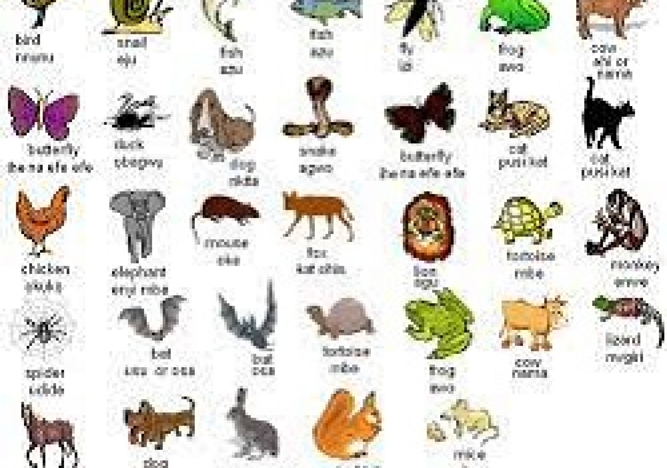 100 animal names in Igbo